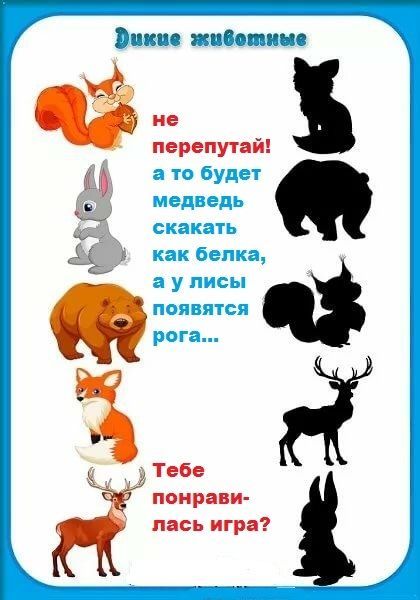 Неделя животные в средней группе